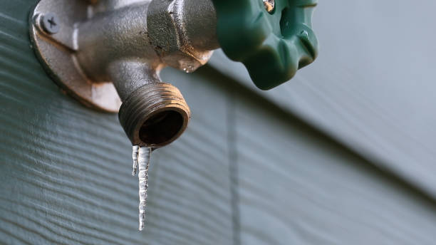 Best Clogged Drain Plumber  in Pebble Creek, FL